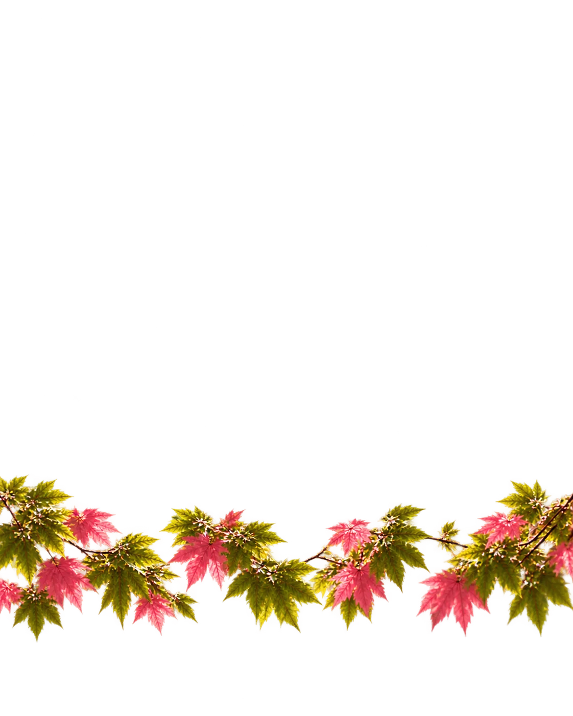 Branches aux feuilles vertes et roses au premier plan