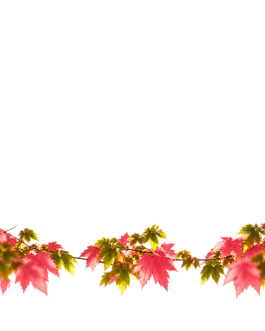 Branches aux feuilles vertes et roses au premier plan